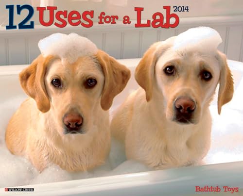 12 Uses For A Lab 2014 Wall Calendar (9781607557807) by Willow Creek Press