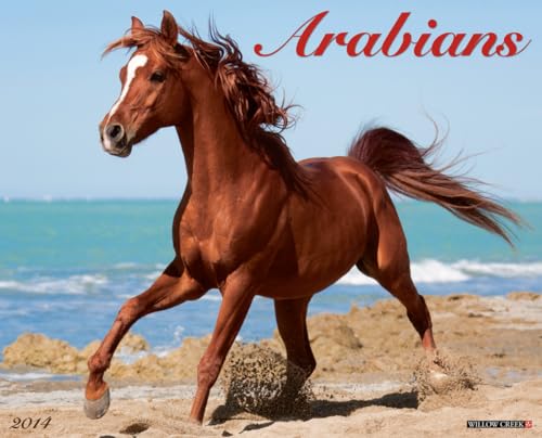 Arabians 2014 Wall Calendar (9781607557852) by Willow Creek Press