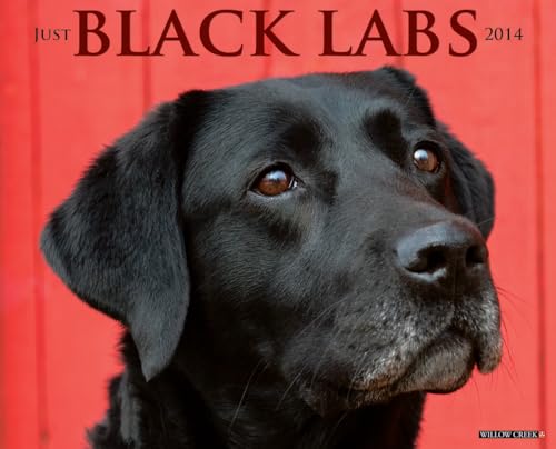 Just Black Labs 2014 Wall Calendar (9781607558026) by Willow Creek Press