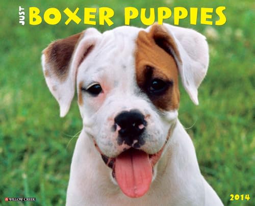 Just Boxer Puppies 2014 Wall Calendar (9781607558071) by Willow Creek Press