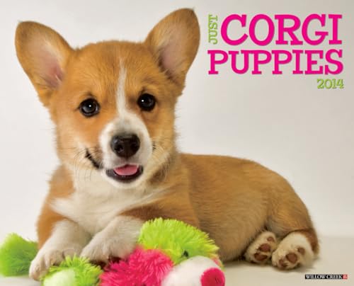 Just Corgi Puppies 2014 Wall Calendar (9781607558330) by Willow Creek Press