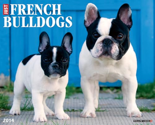 French Bulldogs 2014 Wall Calendar (9781607558569) by Willow Creek Press