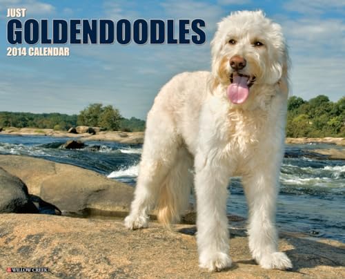 Just Goldendoodles 2014 Wall Calendar (9781607558644) by Willow Creek Press
