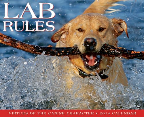 Lab Rules 2014 Wall Calendar (9781607558873) by Willow Creek Press