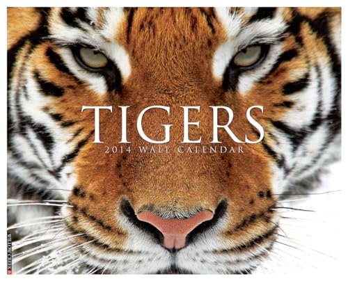 Tigers 2014 Wall Calendar (9781607559443) by Willow Creek Press