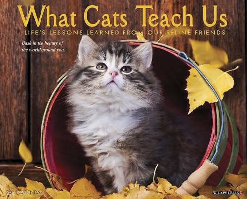What Cats Teach Us 2014 Wall Calendar (9781607559566) by Willow Creek Press