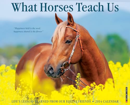 9781607559597: What Horses Teach Us 2014 Calendar: Life's Lessons Learned from Our Equine Friends