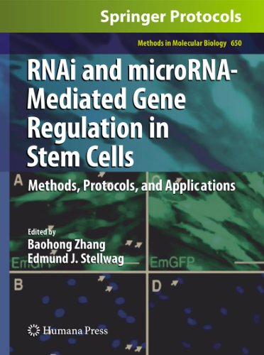 9781607617686: Rnai and Microrna-Mediated Gene Regulation in Stem Cells: Methods, Protocols, and Applications: 650 (Methods in Molecular Biology)