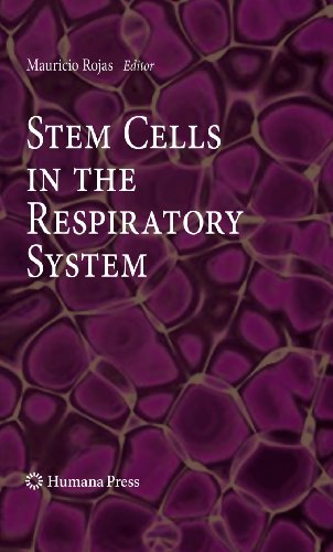 9781607617747: Stem Cells in the Respiratory System (Stem Cell Biology and Regenerative Medicine)