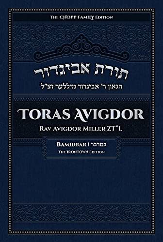 Stock image for Toras Avigdor, Vol. 4 - Bamidbar for sale by SecondSale