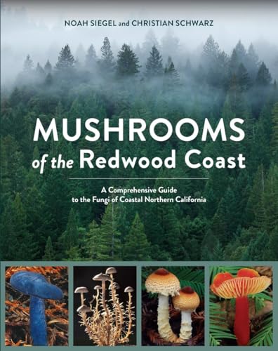 Stock image for Mushrooms of the Redwood Coast: A Comprehensive Guide to the Fungi of Coastal Northern California for sale by Bellwetherbooks