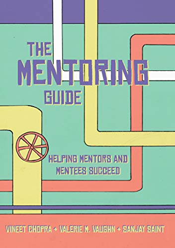 Imagen de archivo de The Mentoring Guide: Helping Mentors and Mentees Succeed a la venta por Goodwill of Colorado