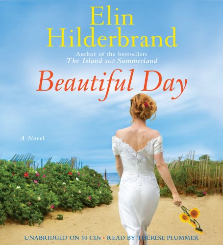 Imagen de archivo de Beautiful Day: A Novel a la venta por HPB-Ruby