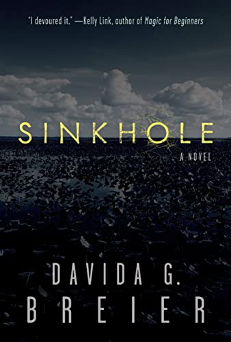 Beispielbild fr Sinkhole zum Verkauf von Open Books