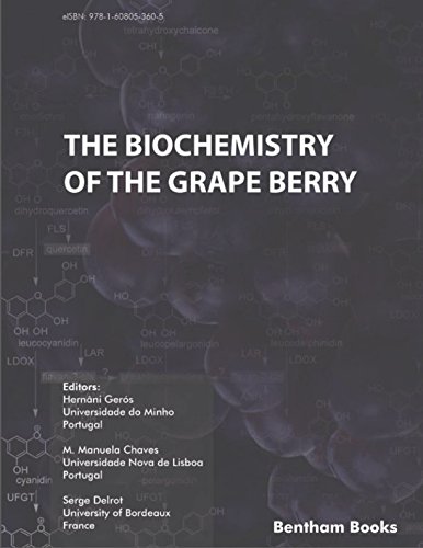 Beispielbild fr Biochemistry of the Grape Berry zum Verkauf von GF Books, Inc.