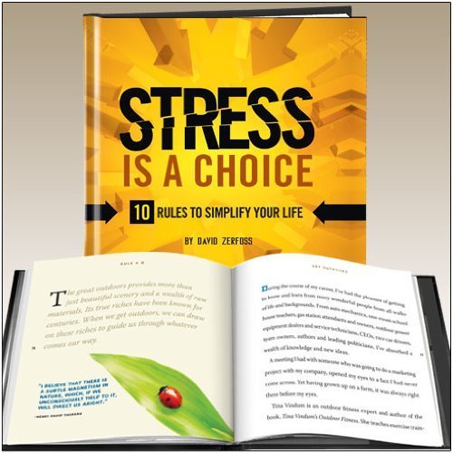 Imagen de archivo de Stress Is a Choice : 10 Rules to Simplify your Life a la venta por Better World Books: West