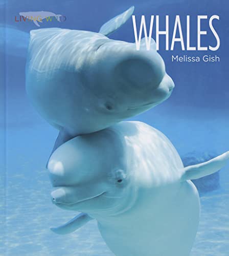 Stock image for Whales (Living Wild (Hardcover)) for sale by dsmbooks