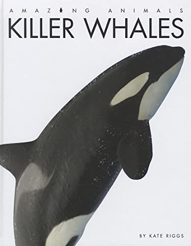 Imagen de archivo de Killer Whales (Amazing Animals) a la venta por SecondSale