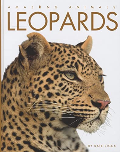 Stock image for Amazing Animals - Classic Edition: Leopards Hardcover for sale by mountain