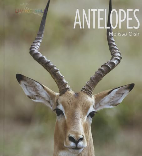 Beispielbild fr Antelopes zum Verkauf von Better World Books