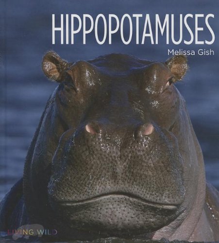 9781608182886: Hippopotamuses (Living Wild)