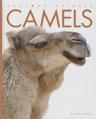 9781608183463: Camels (Amazing Animals)