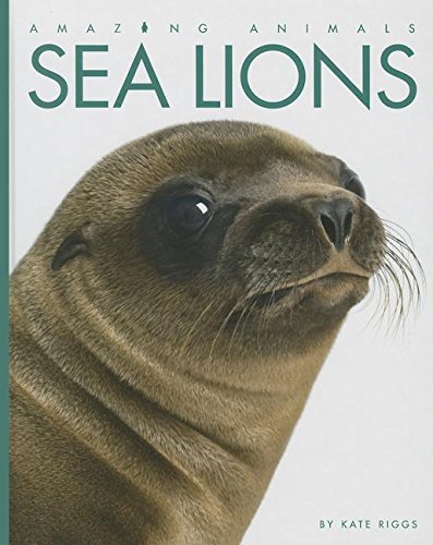 9781608183494: Sea Lions (Amazing Animals)