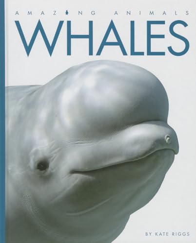 Stock image for Amazing Animals - Classic Edition: Whales Hardcover for sale by Irish Booksellers