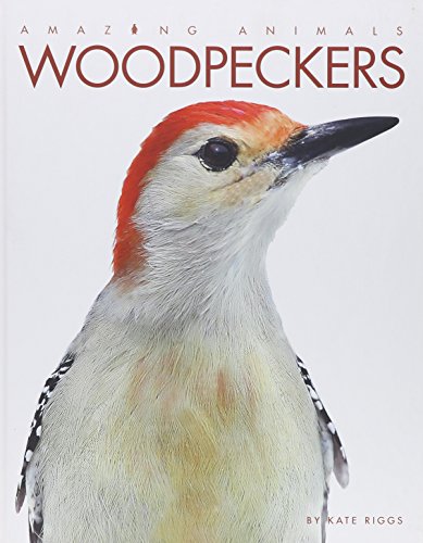 Stock image for Amazing Animals - Classic Edition: Woodpeckers Hardcover for sale by GoldBooks