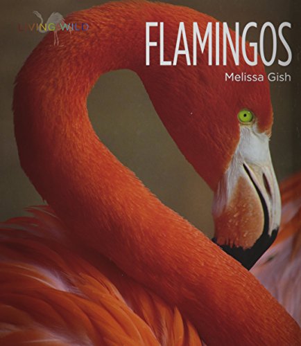 Beispielbild fr Flamingos zum Verkauf von Better World Books