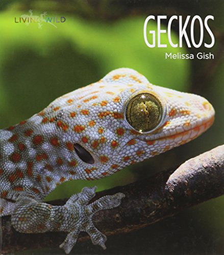 Imagen de archivo de Geckos a la venta por Better World Books