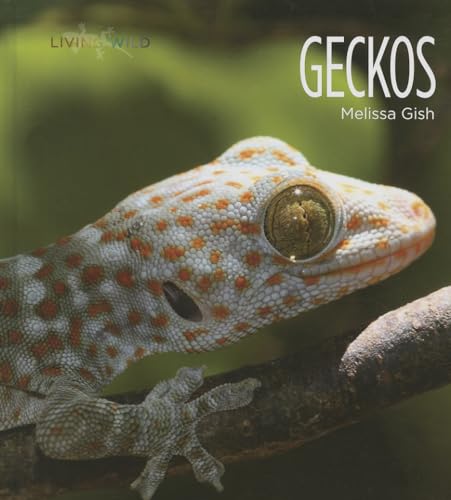 9781608184170: Geckos (Living Wild)