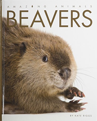 Stock image for Amazing Animals - Classic Edition: Beavers Hardcover for sale by Friends of Johnson County Library