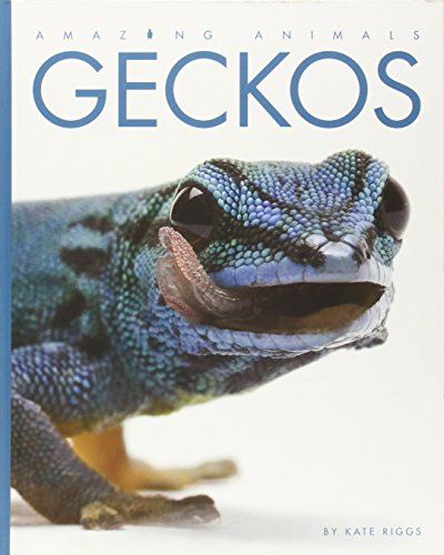 Beispielbild fr Geckos zum Verkauf von Better World Books