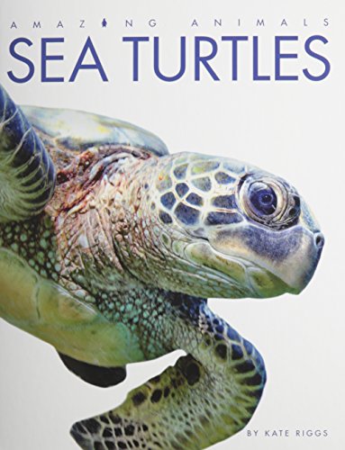 9781608184910: Amazing Animals Sea Turtles