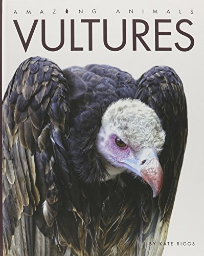 Stock image for Amazing Animals - Classic Edition: Vultures Hardcover for sale by Irish Booksellers