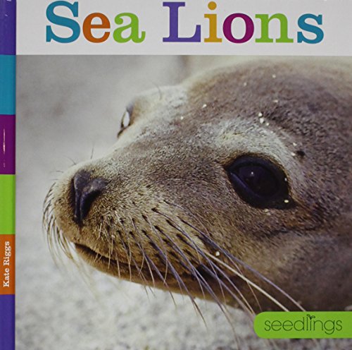 9781608185160: Seedlings Sea Lions