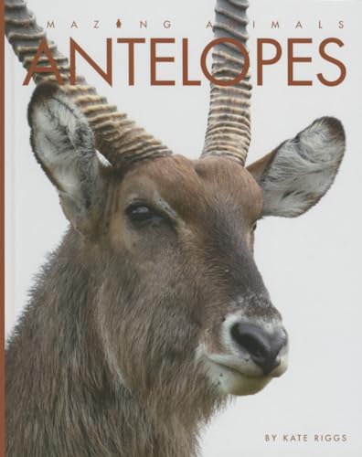 Stock image for Amazing Animals - Classic Edition: Antelopes Hardcover for sale by GoldenWavesOfBooks