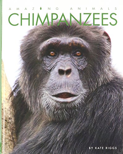 Stock image for Amazing Animals - Classic Edition: Chimpanzees Hardcover for sale by GoldenWavesOfBooks