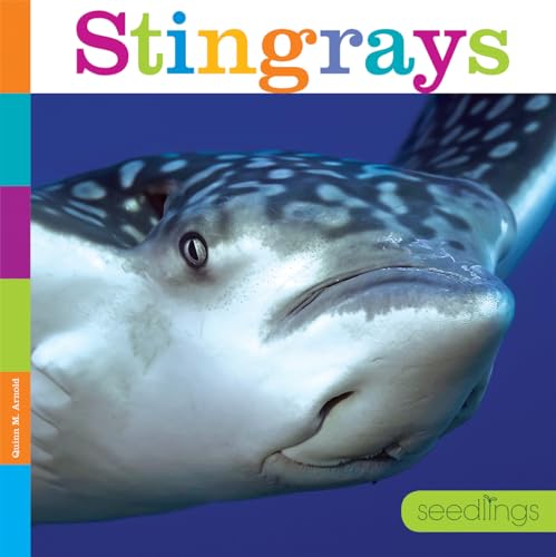 9781608187829: Stingrays (Seedlings)