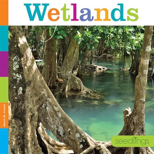 Stock image for Wetlands for sale by Better World Books