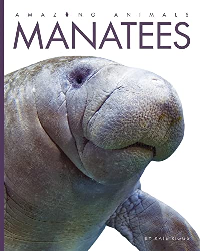 Stock image for Amazing Animals - Classic Edition: Manatees Hardcover for sale by SecondSale