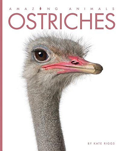 Stock image for Amazing Animals - Classic Edition: Ostriches Hardcover for sale by Gulf Coast Books