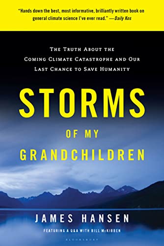 Beispielbild fr Storms of My Grandchildren: The Truth About the Coming Climate Catastrophe and Our Last Chance to Save Humanity zum Verkauf von Wonder Book