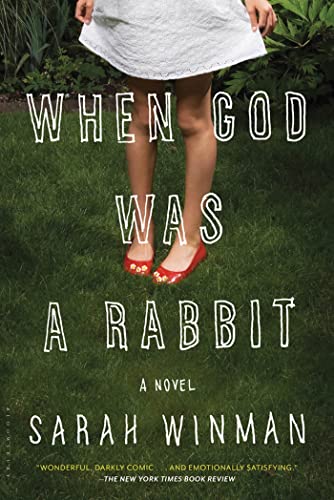 Stock image for When God Was a Rabbit: A Novel for sale by SecondSale