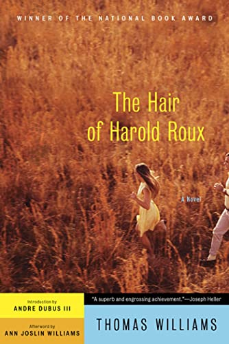 Imagen de archivo de The Hair of Harold Roux: A Novel a la venta por St Vincent de Paul of Lane County