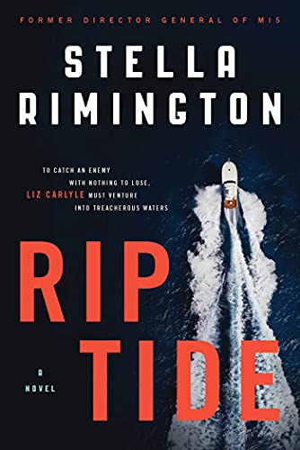 Beispielbild fr Rip Tide: A Novel zum Verkauf von More Than Words