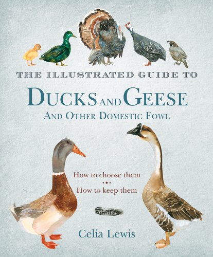 Beispielbild fr The Illustrated Guide to Ducks and Geese and Other Domestic Fowl: How to Choose Them. How to Keep Them. zum Verkauf von Ergodebooks