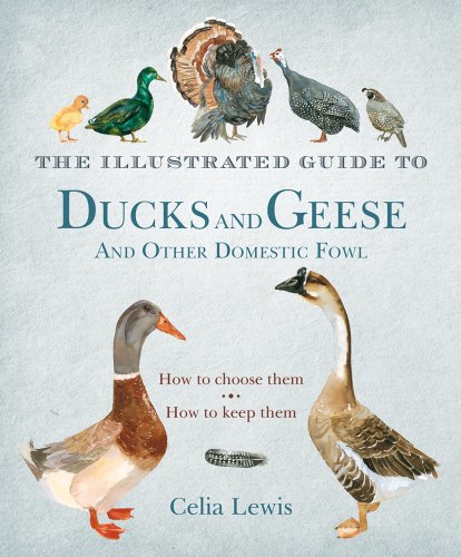 Stock image for The Illustrated Guide to Ducks and Geese and Other Domestic Fowl: How to Choose Them. How to Keep Them. for sale by Ergodebooks