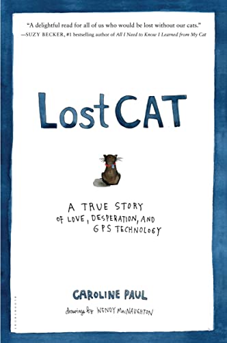 Beispielbild fr Lost Cat A True Story of Love zum Verkauf von SecondSale